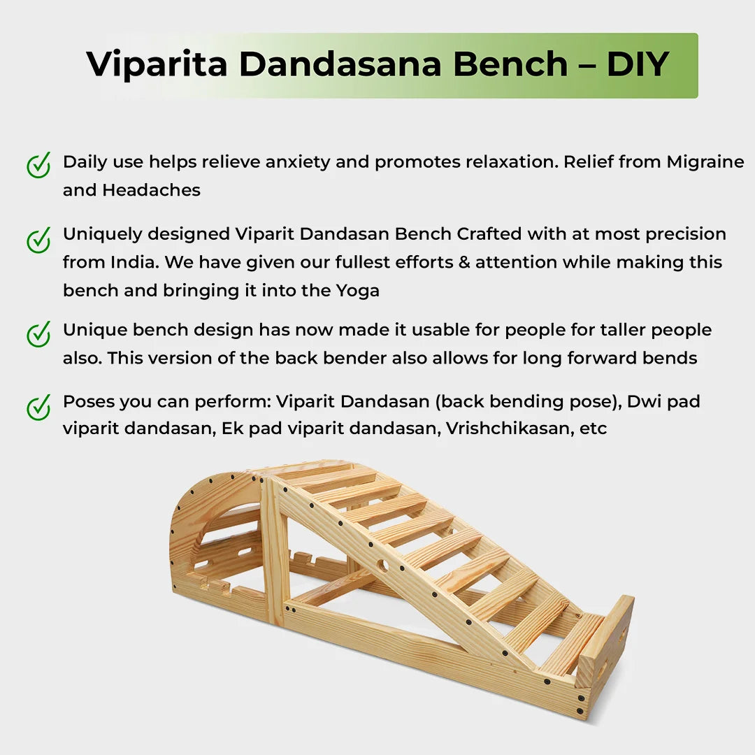 Viparita Dandasana Bench Benefits