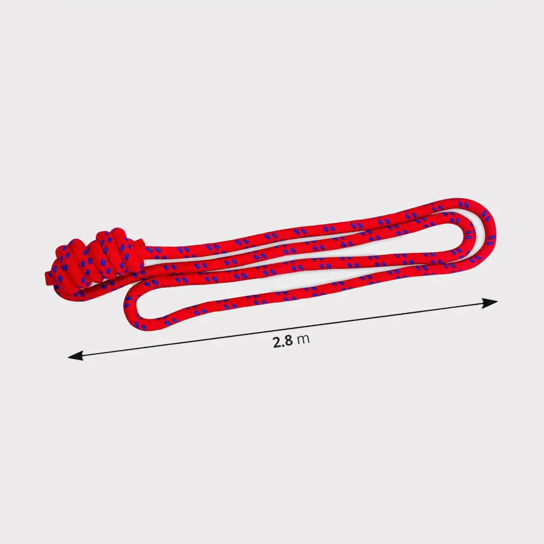 Yoga Wall Ropes Dimension