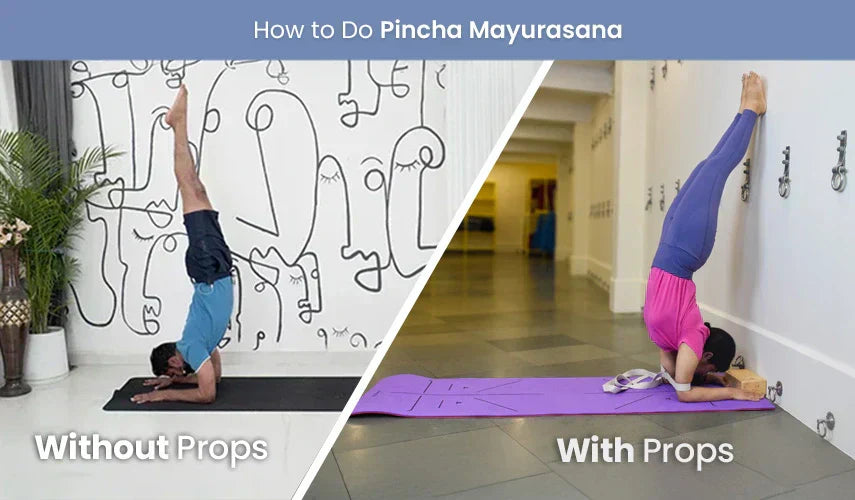 How to Do Pincha Mayurasana