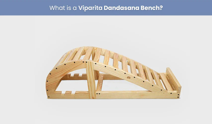 What is a Viparita Dandasana Bench