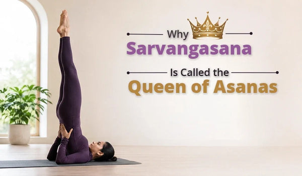 Why Sarvangasana Is Called the Queen of Asanas