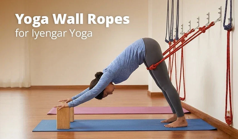 Yoga Wall Ropes for Iyengar Yoga