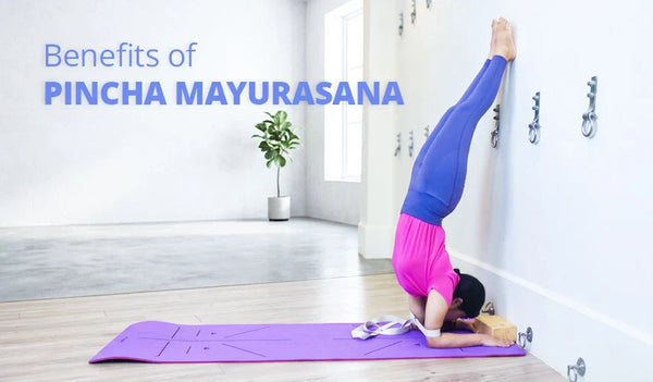 Benefits of Pincha Mayurasana for Strength and Balance