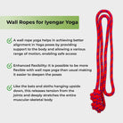 Red Blue Rope Specification