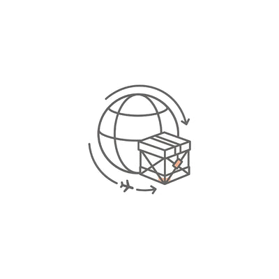Worldwide Shipping Icon