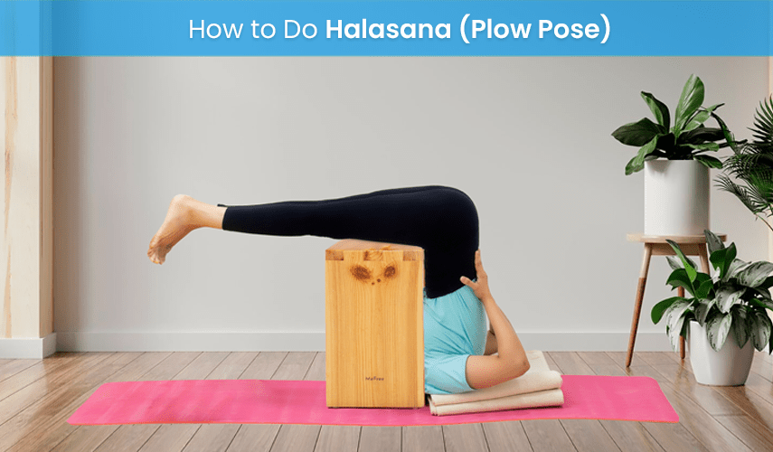 How To Do Halasana (plow Pose) - MeFree