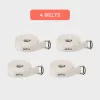 Set Of 4 Belt