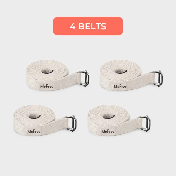 Set Of 4 Belt