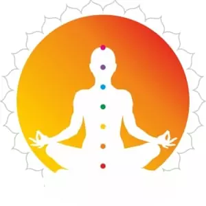 The Mefree Logo Comprises 7 Colours... Signifying The Colours Of The ‘seven Chakras’