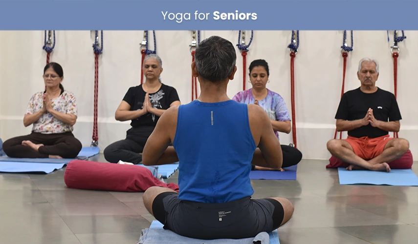 Yoga For Seniors